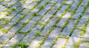 Comment désherber entre les Dalles et dans les Graviers ?